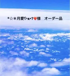 *☆＊月愛ʕ•ᴥ•ʔ❤️様　専用ページ