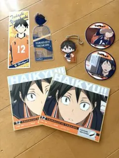 ハイキュー 烏野高校 山口忠セット☆