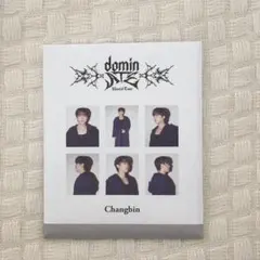 Stray Kids チャンビン インスタントフォトセット