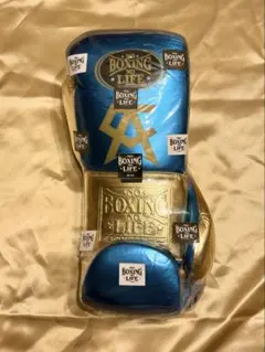 ボクシンググローブ金