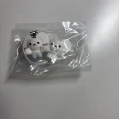 ポケットモンスター ぺたんこマスコット