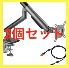 iggy（イギー） モニターアーム　快適ワークDA112 シングル黒 2個セット