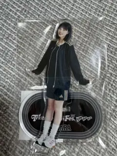 原菜乃華 チームBLACKアクリルスタンド 原菜乃華 チームBLACKアクリルスタンド - メルカリ