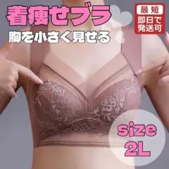 胸を小さく見せるブラ シームレス ナイトブラ ノンワイヤー 2Lマロン 快適