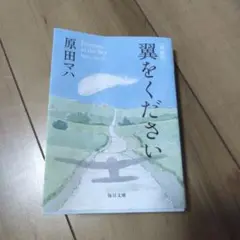 新装版 翼をください