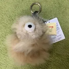 【COSY/コージー】キーホルダー　テディ　キーチャーム