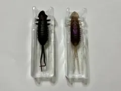 【未使用】ハイドアップ コイケポッパーフロッグ 2個セット エラストマー