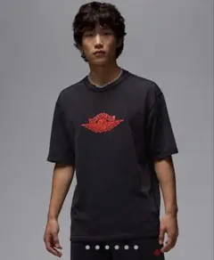 ジョーダン レア　エア　Tシャツ Lサイズ