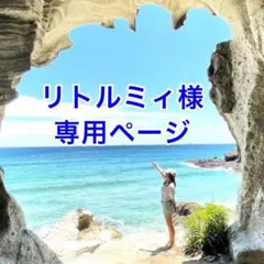 リトルミィ様専用ページ　 No.731とNo.792のピアス