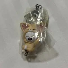 つまんだつなげてますこっとvol.2 フォクシニー＆ジニレット