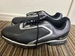 Item thumbnail for item e5aba596-9d86-4c97-a1ac-a92155c20643