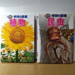 Item thumbnail for item 2a1d9b31-699d-4f72-9f88-ff9079f1b346