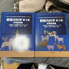 Item thumbnail for item 3f3eca98-e7d4-430c-9d31-fa89ca5260dd