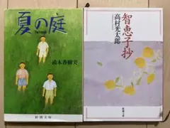 Item thumbnail for item cf807119-5aa1-4343-b189-81856496caee