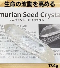 2025年最新】レムリアンシードの人気アイテム - メルカリ