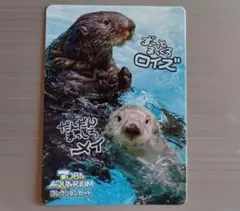 鳥羽水族館コレクションカードvol.2 レアカード ロイズ&メイ - メルカリ