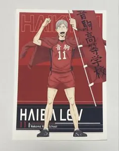 ハイキュー!! I.G STORE 特典 ポストカード（灰羽リエーフ）