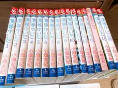 Item thumbnail for item 72cedfa7-9481-4df1-8ebb-924c2c03fb56