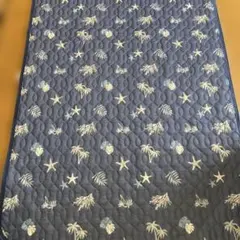 Item thumbnail for item 70bdb39f-8f5e-469b-bbd9-0ff8ec34100c