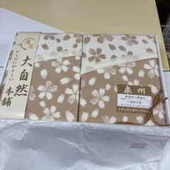 Item thumbnail for item fee06489-681f-4901-a77a-55d27e9a7272