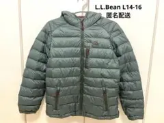 L.L.Bean ウルトラライトダウンジャケット L14-16