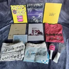 【美品有】嵐 ツアーグッズまとめ売り パンフレット バッグ Tシャツ ペンライト