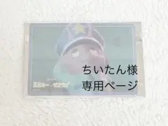 ちいたん様 専用ページ