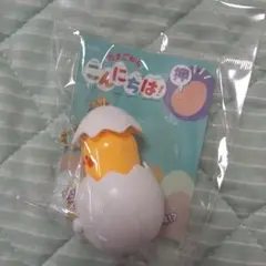 たまごからこんにちは！