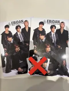 EBiDAN Visual Dictionary M!LK Lienel 表紙