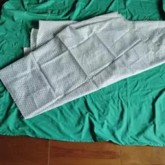 水玉模様 生地 白地に青