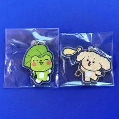 SEVENTEEN ラキドロ MINITEEN ミニティーン ディパリ ドア