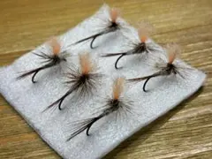 Item thumbnail for item d1b85b06-e314-48c6-ab82-21eaa1526fff