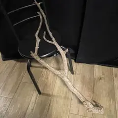 ま*ろ様 水槽用流木 大型約80cm ADAに負けない流木 ま*ろ様 水槽用流木 大型約80cm ADAに負けない流木 - メルカリ