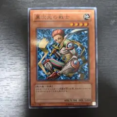 緻密 シークレットレイヤー ボーナスシート シヴァ mtg 日本語版