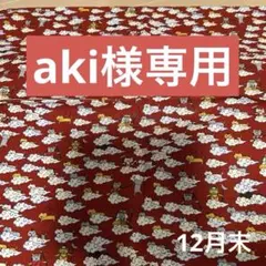 aki様専用