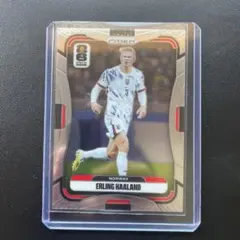 Panini Prizm Erling Haaland ハーランド