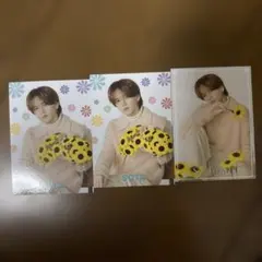 FANTASTICS 中島颯太SUNFLOWER フォトカ 2種