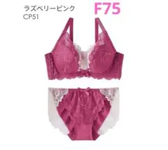 カシュクールレース脇高ブラ エメフィール　ブラジャーショーツセット