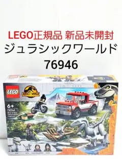 2025年最新】レゴ 76946の人気アイテム - メルカリ