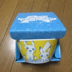 ポケモン　ピカチュウ　食器　Pikachu in the forest　希少