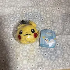 2026年最新】メタモン ピカチュウ ぬいぐるみの人気アイテム - メルカリ