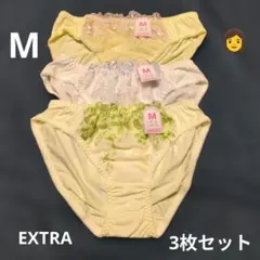 値下げ♡　EXTRAグレード　レディースショーツフロント刺繍　M 3枚セット