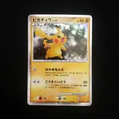ピカチュウ Lv.10