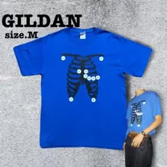 GILDAN 青 肋骨プリント Tシャツ M 古着