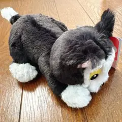 ディズニー　フィガロ　ぬいぐるみ　フラッフィープラッシー　ミニ　ピノキオのサムネイル
