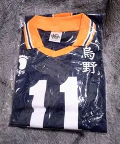 ハイキュー ユニフォーム 10周年