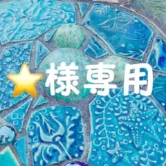 ⭐︎専用商品⭐︎