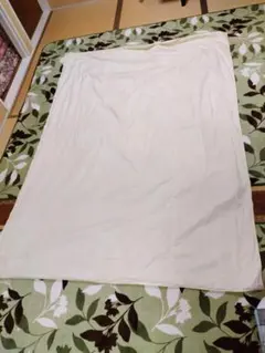 Item thumbnail for item 273b336f-a306-4f99-a190-e0acfe645c1d