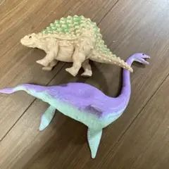 エラスモサウルス　その他