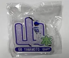 中日ドラゴンズ アクリルネームバッジ 山本泰寛選手